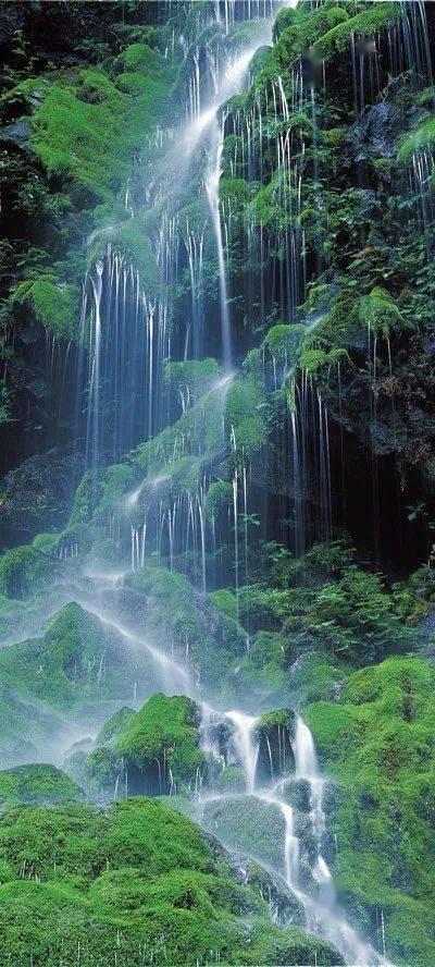 沪江开心词场